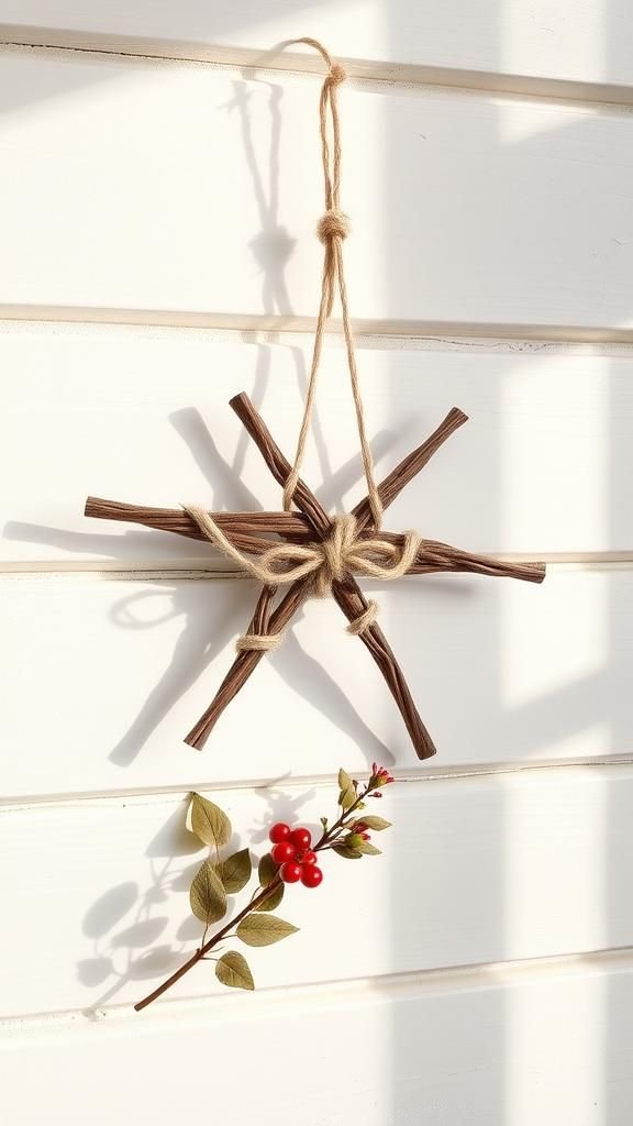 Rustic Twig Star Wall Accent