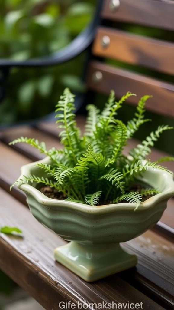 Teacup bird bath turned into mini planter?