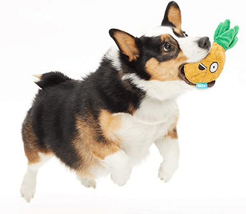 Chewable Plush Toy