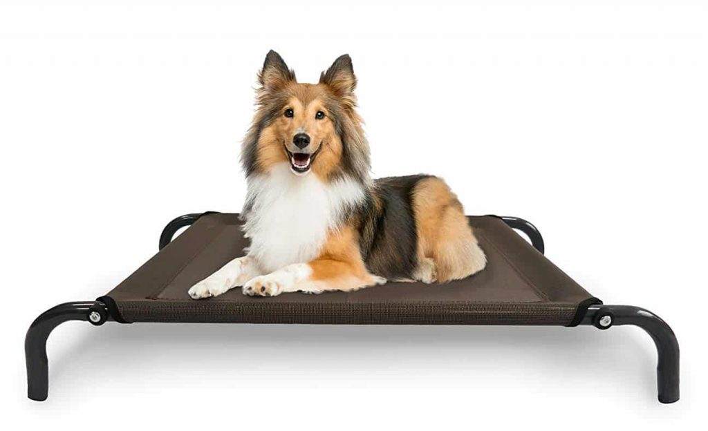 Cot Style Dog Beds