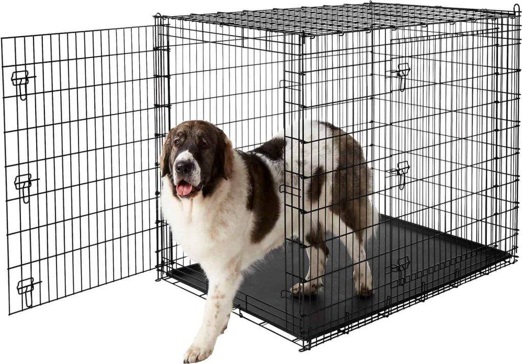 Dogs Crate Loving Animals