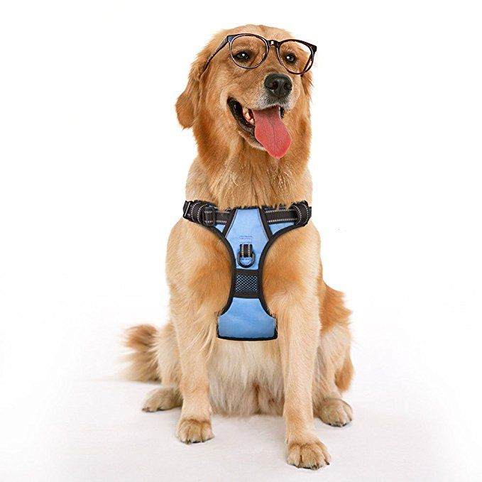 PoyPet No Pull Dog Harness Updated Version