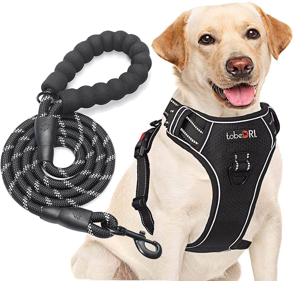 TobeDRI No Pull Dog Harness 1