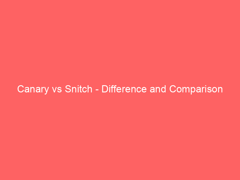 Read more about the article Canary vs Snitch – Difference and Comparison