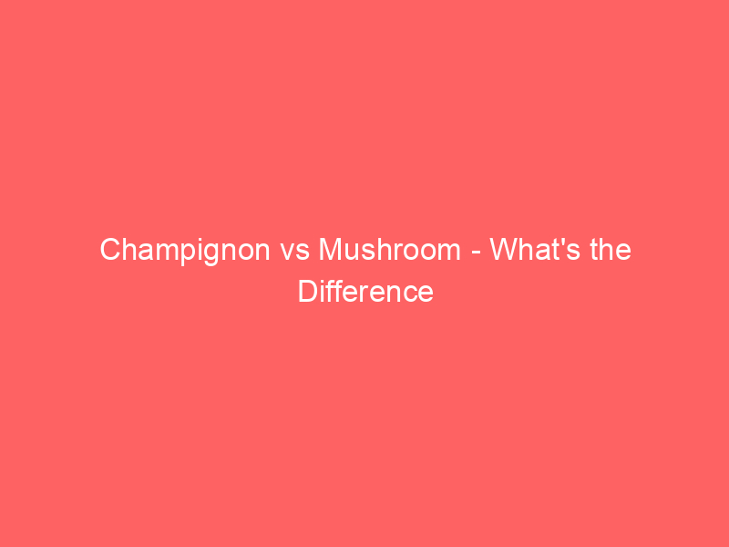 Read more about the article Champignon vs Mushroom – What’s the Difference