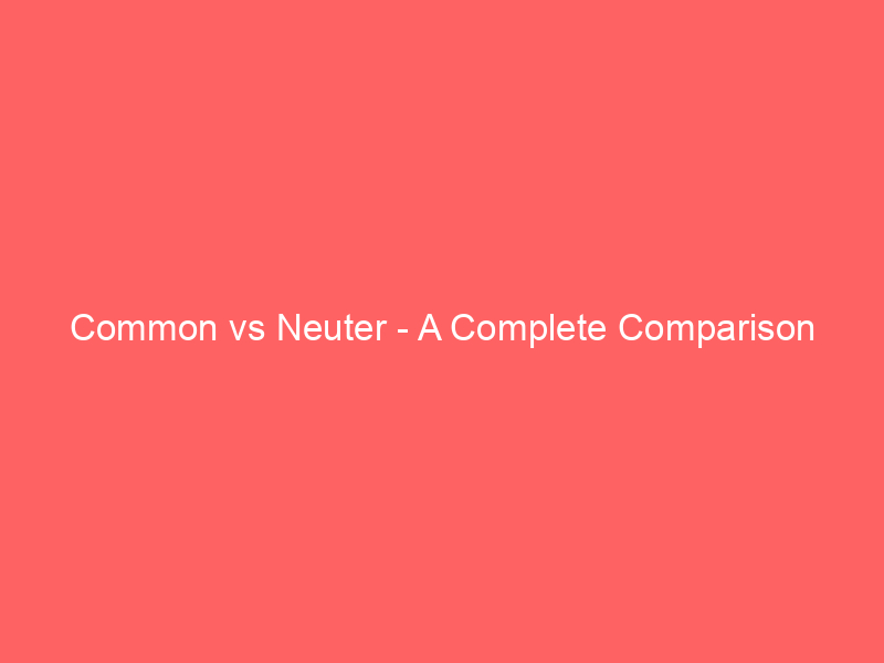 Read more about the article Common vs Neuter – A Complete Comparison