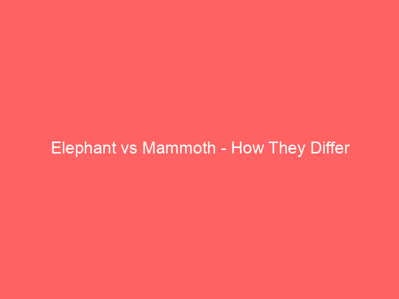 Read more about the article Elephant vs Mammoth – How They Differ
