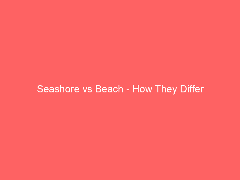 Read more about the article Seashore vs Beach – How They Differ