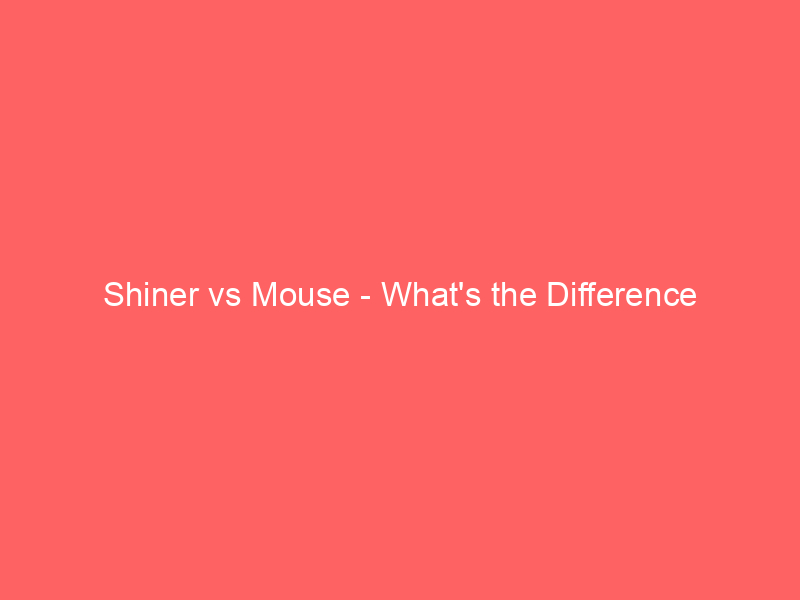 Read more about the article Shiner vs Mouse – What’s the Difference