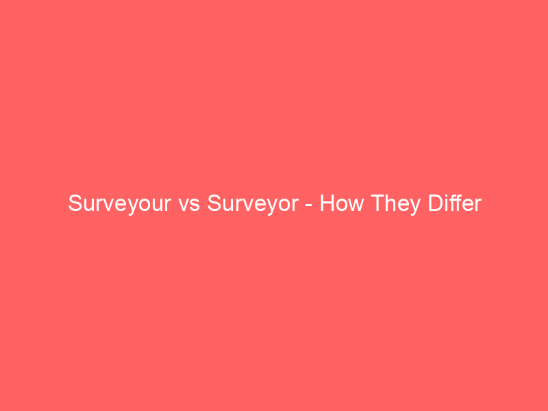 Read more about the article Surveyour vs Surveyor – How They Differ