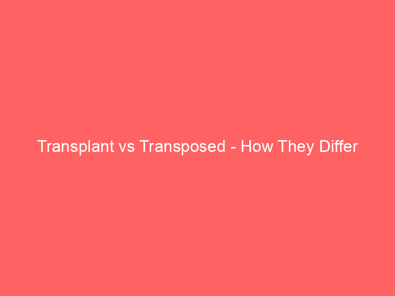 Read more about the article Transplant vs Transposed – How They Differ