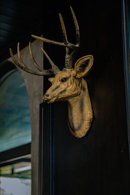 Venison
