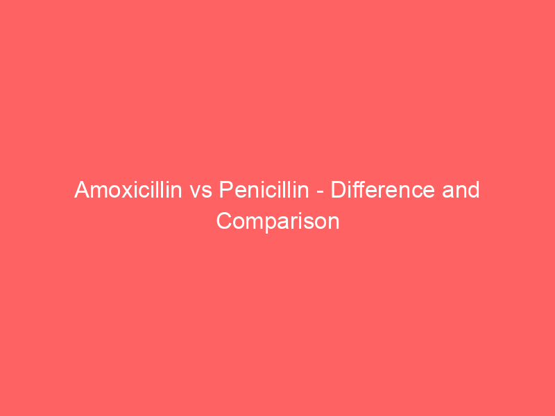 Read more about the article Amoxicillin vs Penicillin – Difference and Comparison