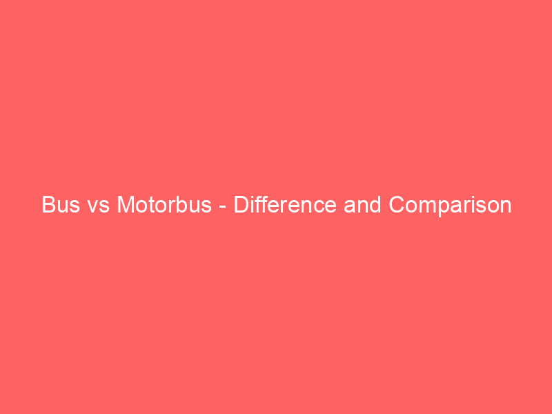 Read more about the article Bus vs Motorbus – Difference and Comparison