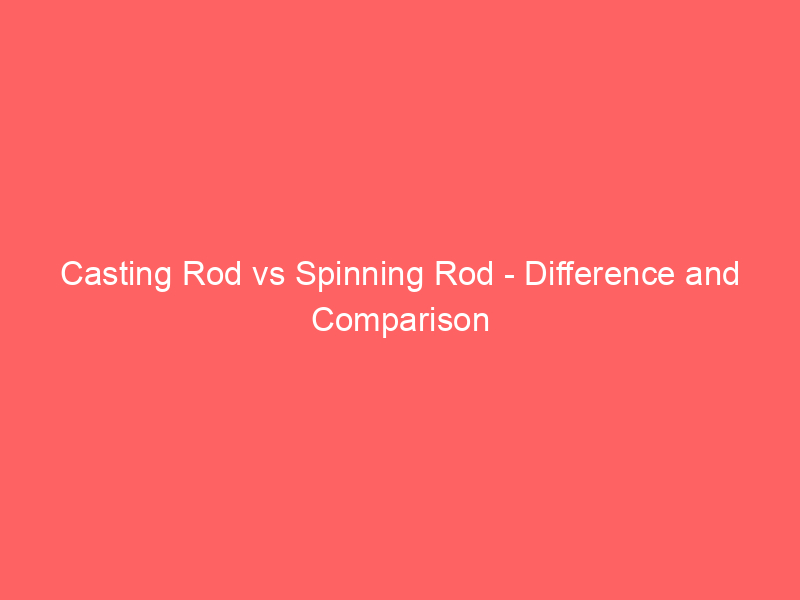 Read more about the article Casting Rod vs Spinning Rod – Difference and Comparison