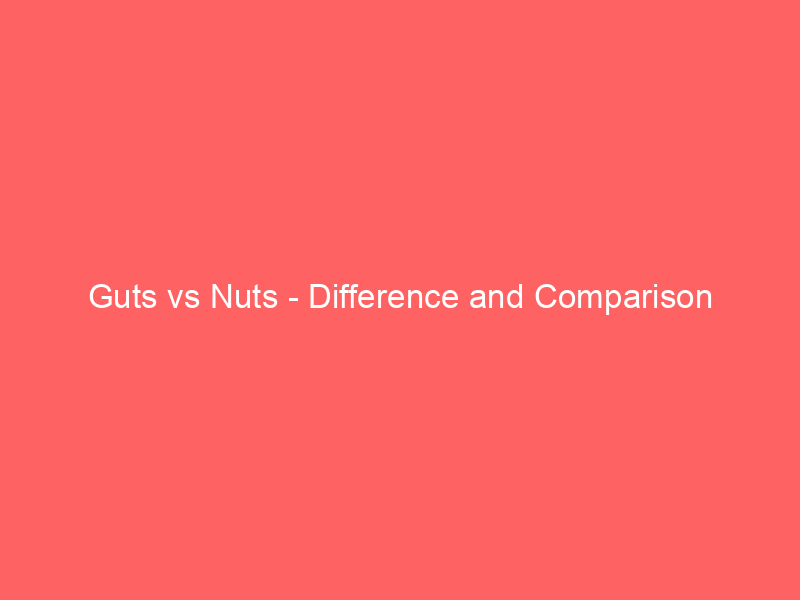 Read more about the article Guts vs Nuts – Difference and Comparison
