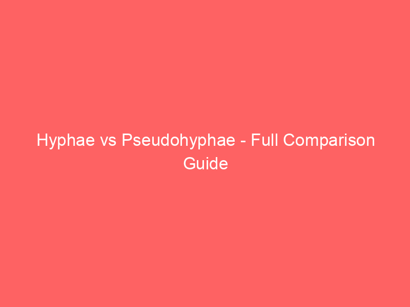Read more about the article Hyphae vs Pseudohyphae – Full Comparison Guide