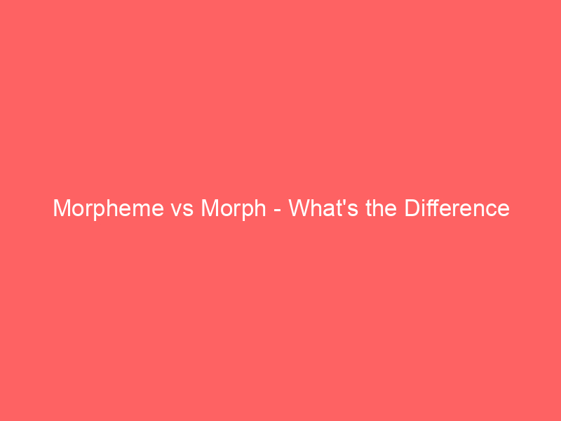 Read more about the article Morpheme vs Morph – What’s the Difference