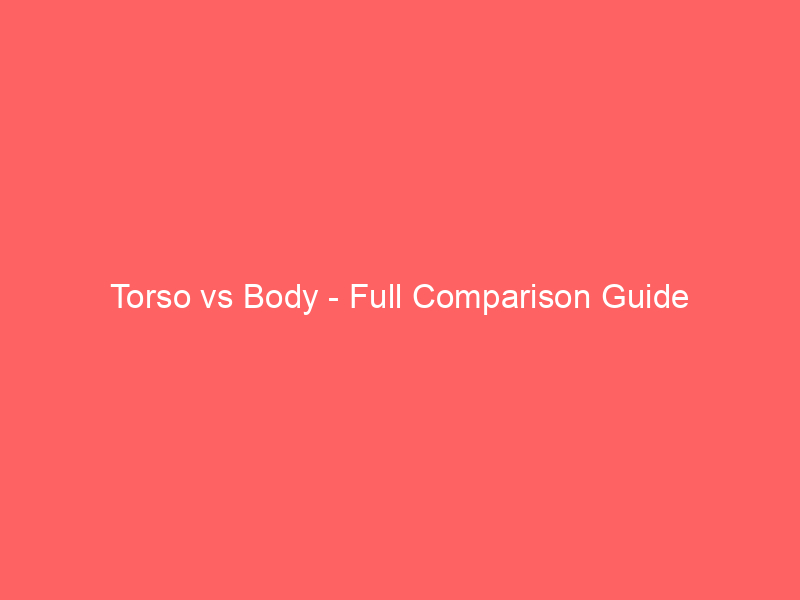 Read more about the article Torso vs Body – Full Comparison Guide