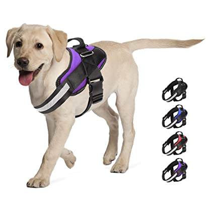 Bolux Reflective No Pull Dog Harness colors