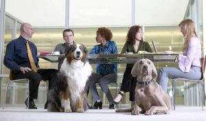 Read more about the article How To Bring Your Dog to Work?