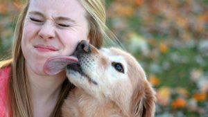 Read more about the article 6 Dog Saliva Myths That You Thought Were True