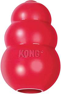 Kong Dog Toy