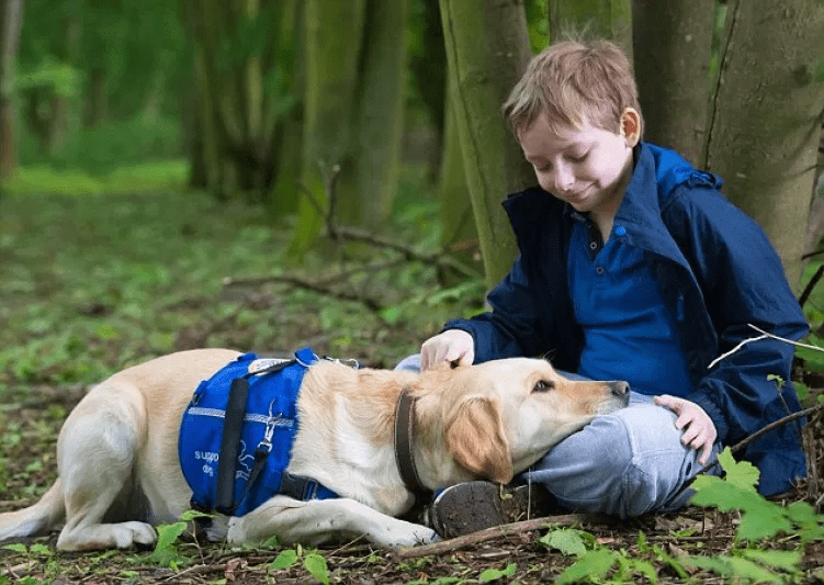 Labradors Help Children with Autism