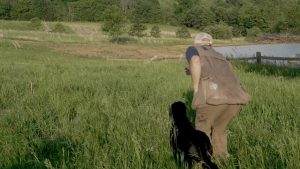 Read more about the article How to Train Lining Drills to Retrievers?