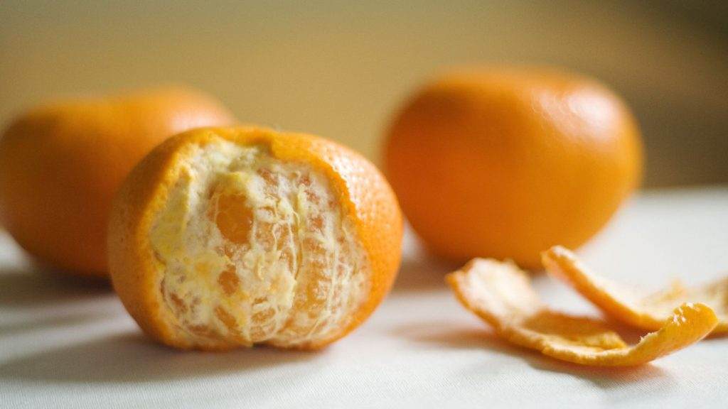 Oranges to a Labradors Diet