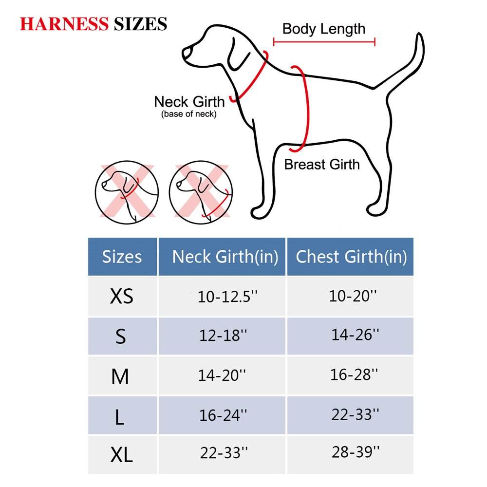 PoyPet No Pull Dog Harness Updated Version size charts