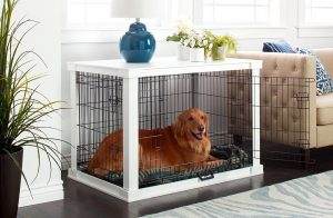 Read more about the article Best Retriever Kennel Cover