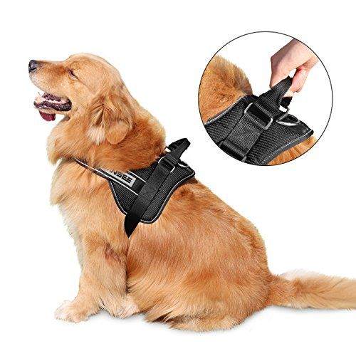 WINSEE No Pull Dog Harness