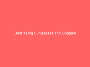 Read more about the article Best 3 Dog Sunglasses and Goggles