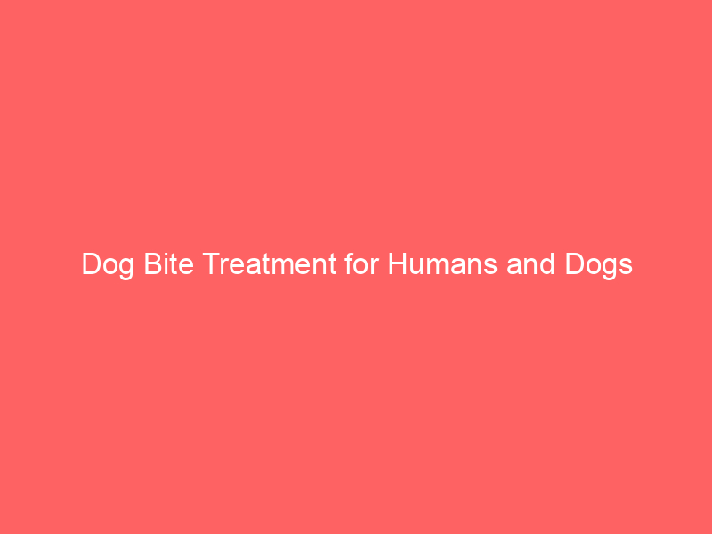 Read more about the article Dog Bite Treatment for Humans and Dogs