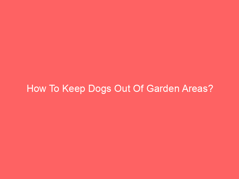 You are currently viewing How To Keep Dogs Out Of Garden Areas?